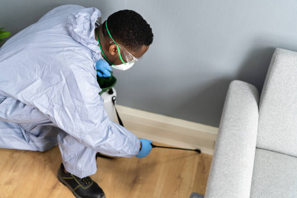 Reliable West Leechburg, PA Pest Control Solutions